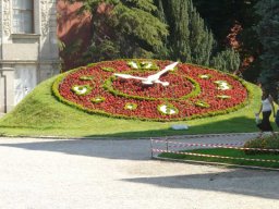 Hoyder Istanbul Daveti
